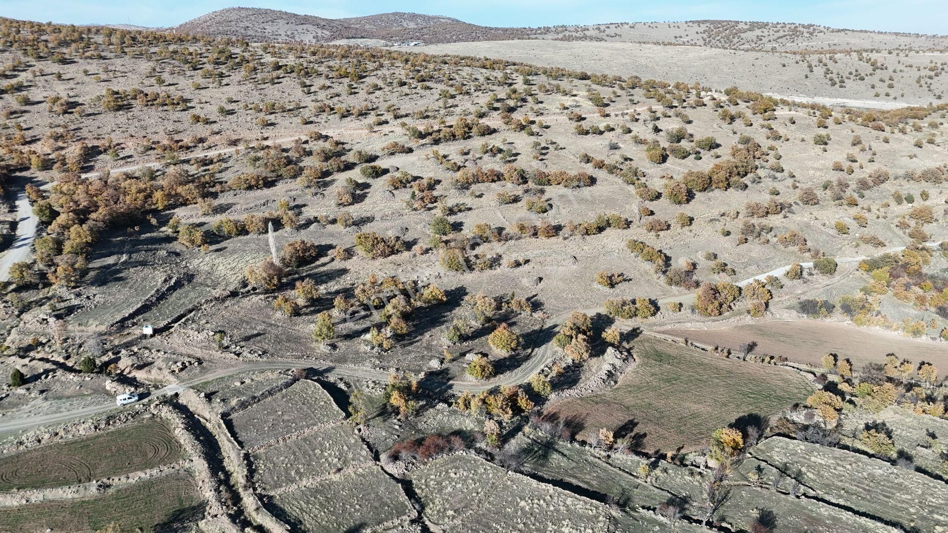 Konya / Meram / Çukurçimen Mahallesinde 8.993 M² Müstakil Tapulu Tarla - Görsel 8