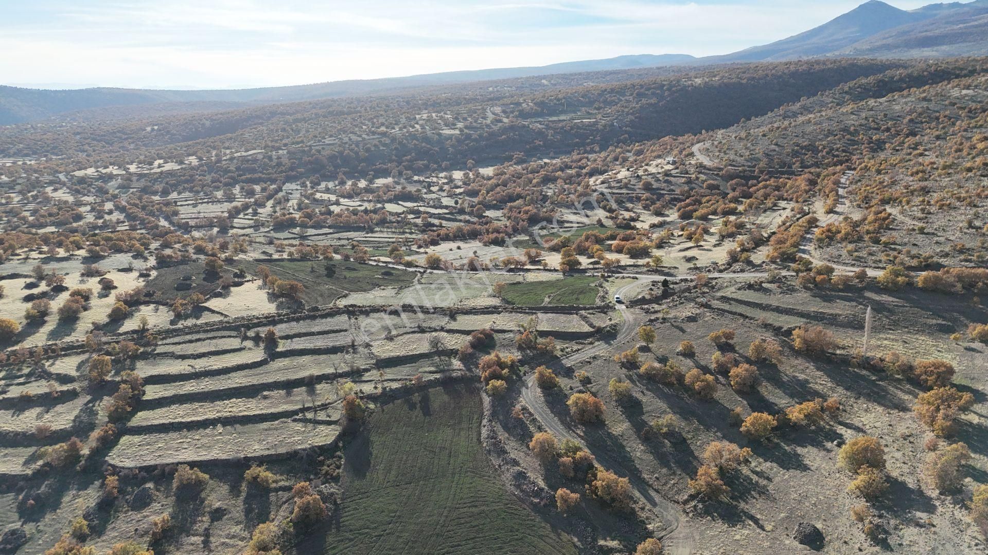 Konya / Meram / Çukurçimen Mahallesinde 8.993 M² Müstakil Tapulu Tarla - Görsel 3
