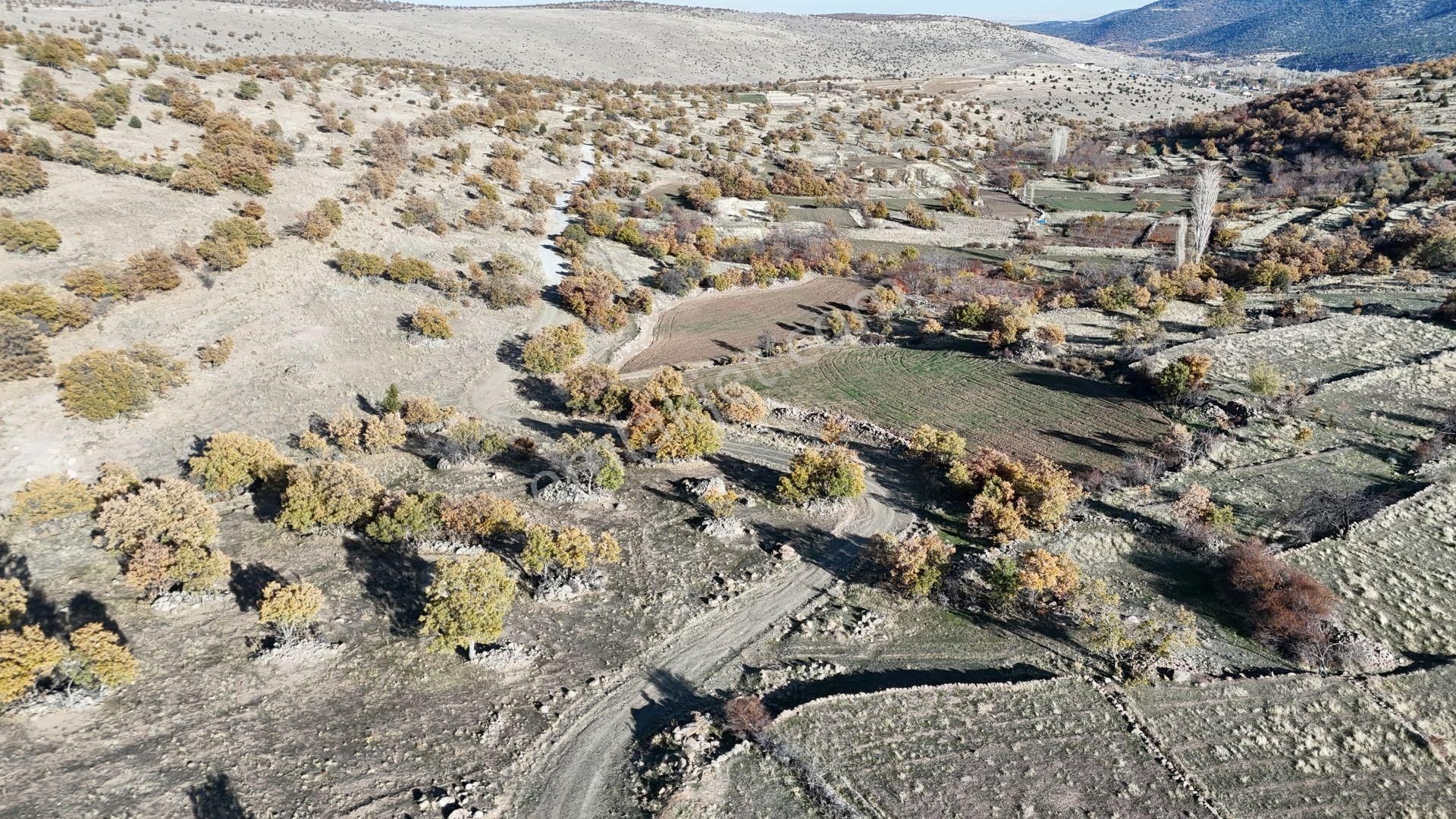Konya / Meram / Çukurçimen Mahallesinde 8.993 M² Müstakil Tapulu Tarla - Görsel 6