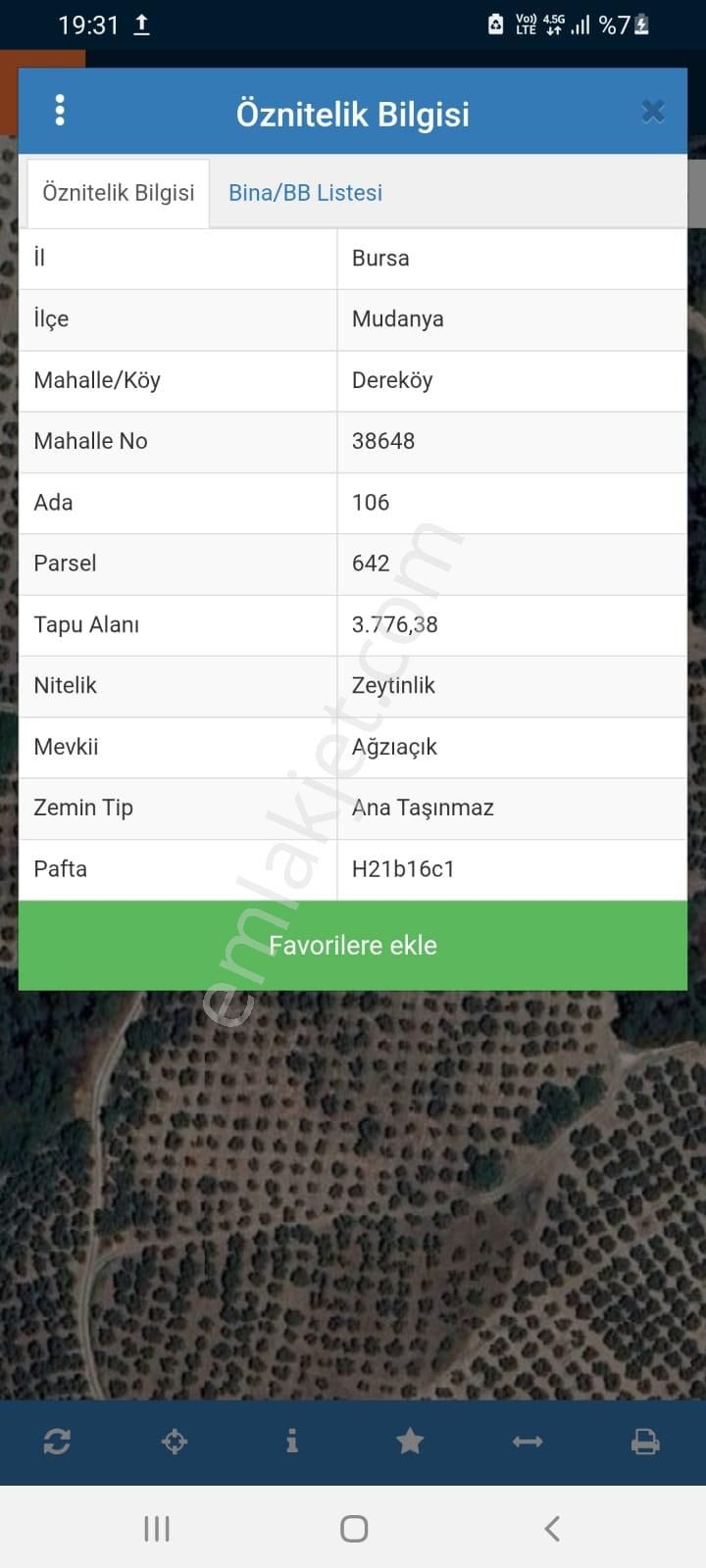 Rt Safir'den Dereköy De Kadastrol Yolu Olan Bakımlı Zeytinlik - Görsel 6