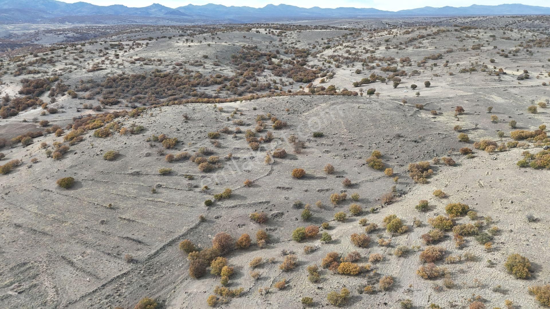 Konya / Meram / Çomaklar Mahallesinde 2.386 M² Müstakil Tapulu Tarla - Görsel 7