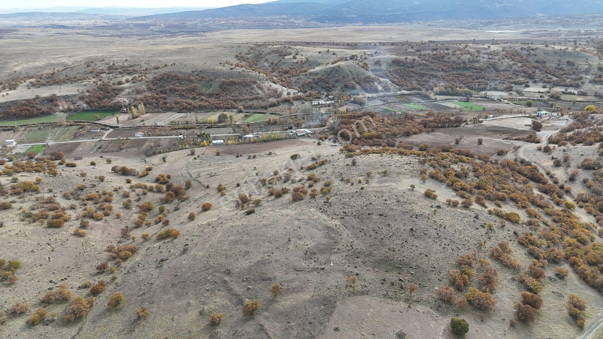 Konya / Meram / Çomaklar Mahallesinde 2.386 M² Müstakil Tapulu Tarla - Görsel 6