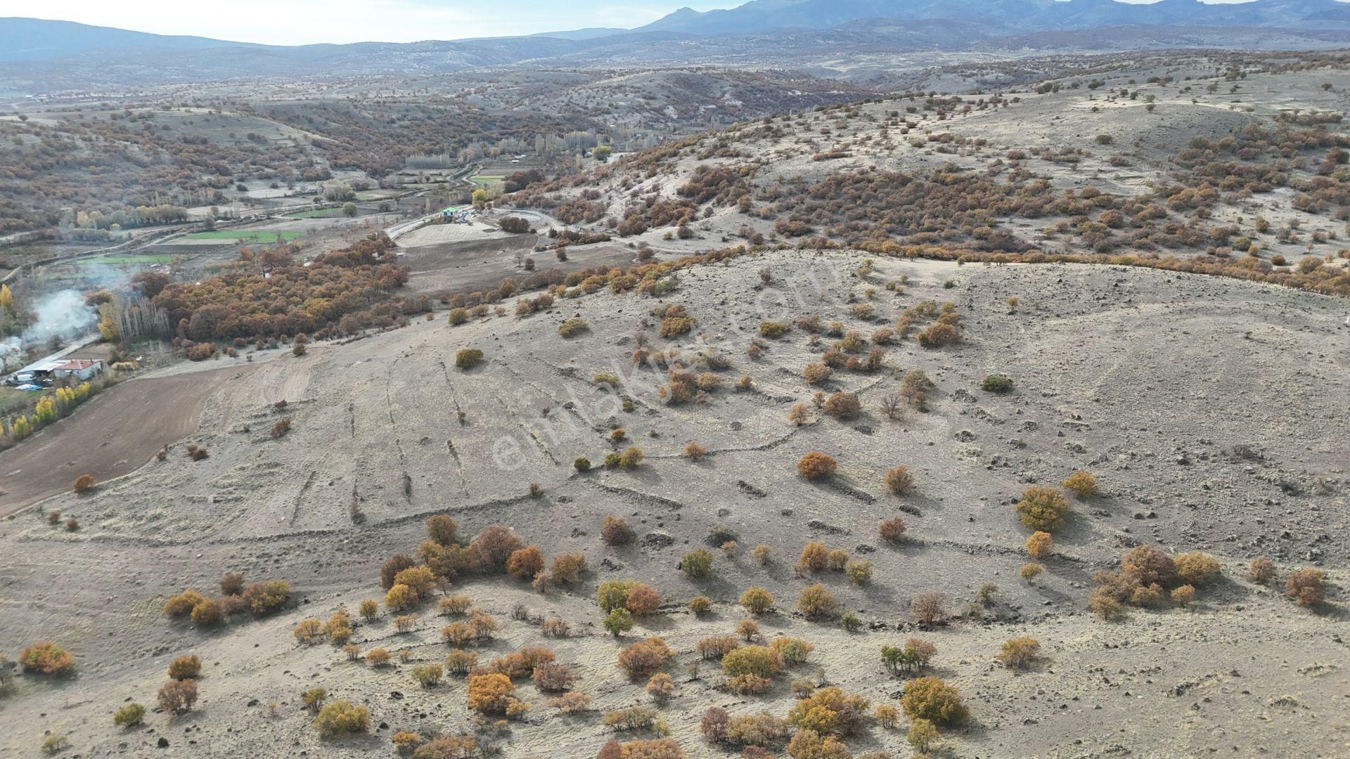 Konya / Meram / Çomaklar Mahallesinde 2.386 M² Müstakil Tapulu Tarla - Görsel 5