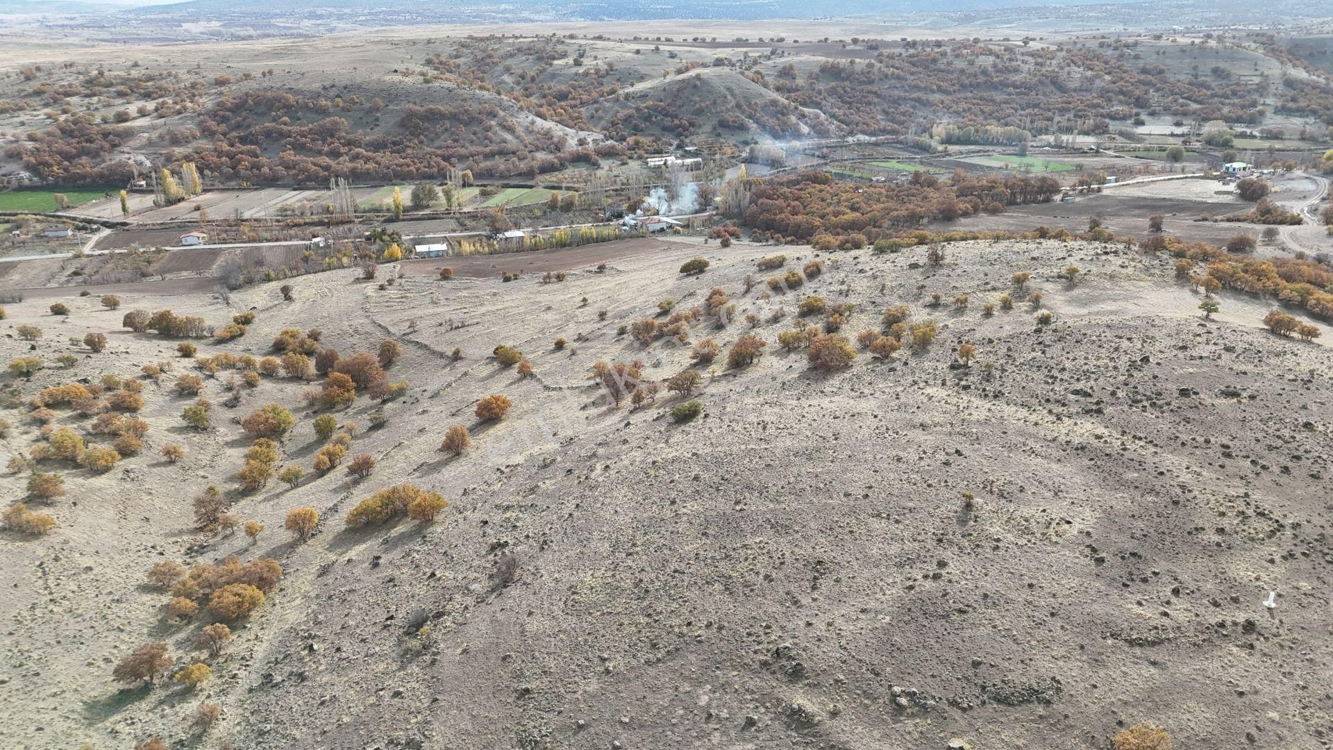 Konya / Meram / Çomaklar Mahallesinde 2.386 M² Müstakil Tapulu Tarla - Görsel 2