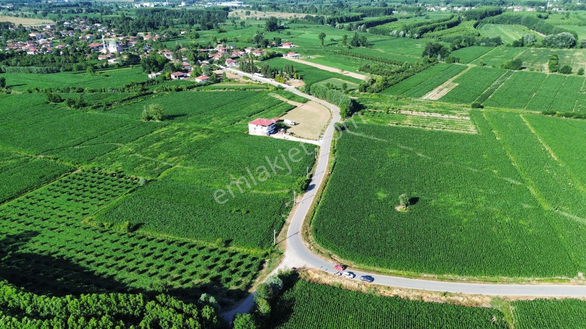!!acil!! Kuzey Marmaraya 10 Dk Mesafede Satılık Tarla - Görsel 8
