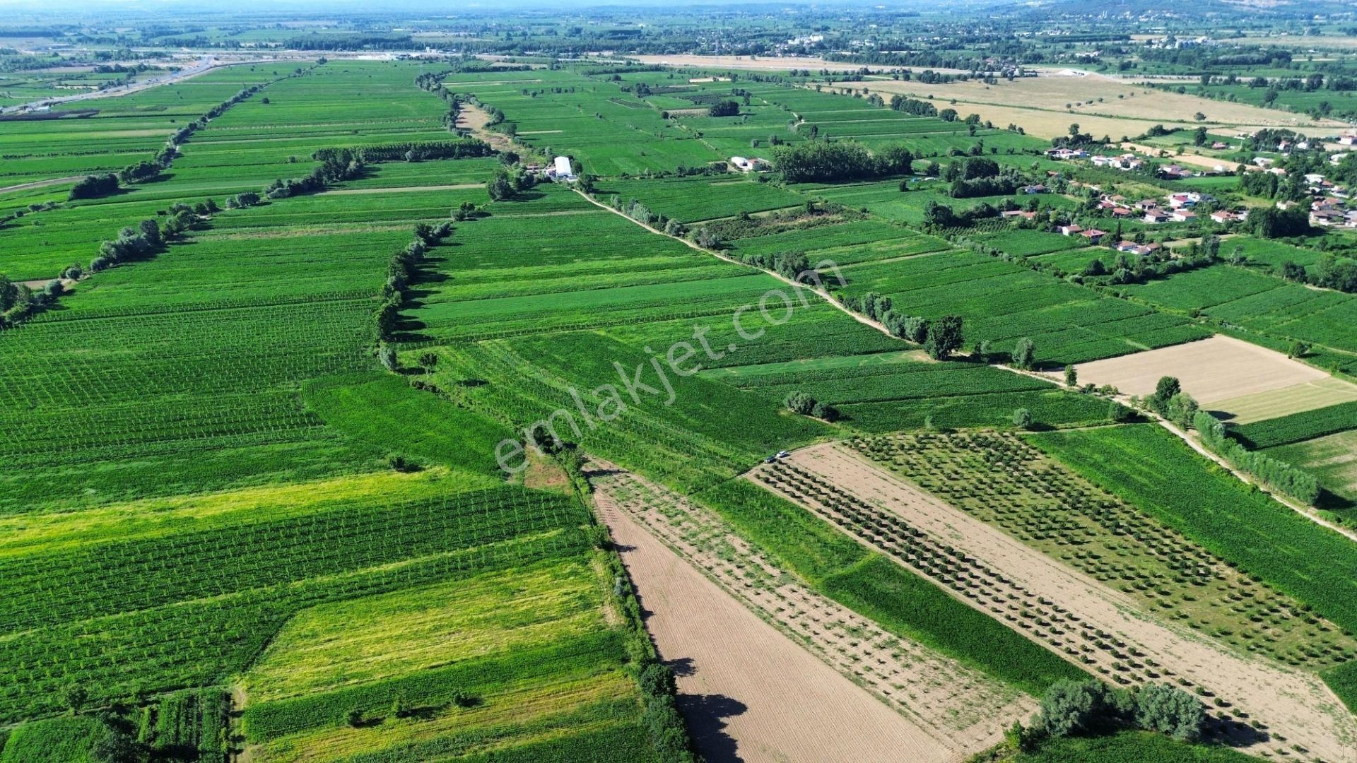 !!acil!! Kuzey Marmaraya 10 Dk Mesafede Satılık Tarla - Görsel 3