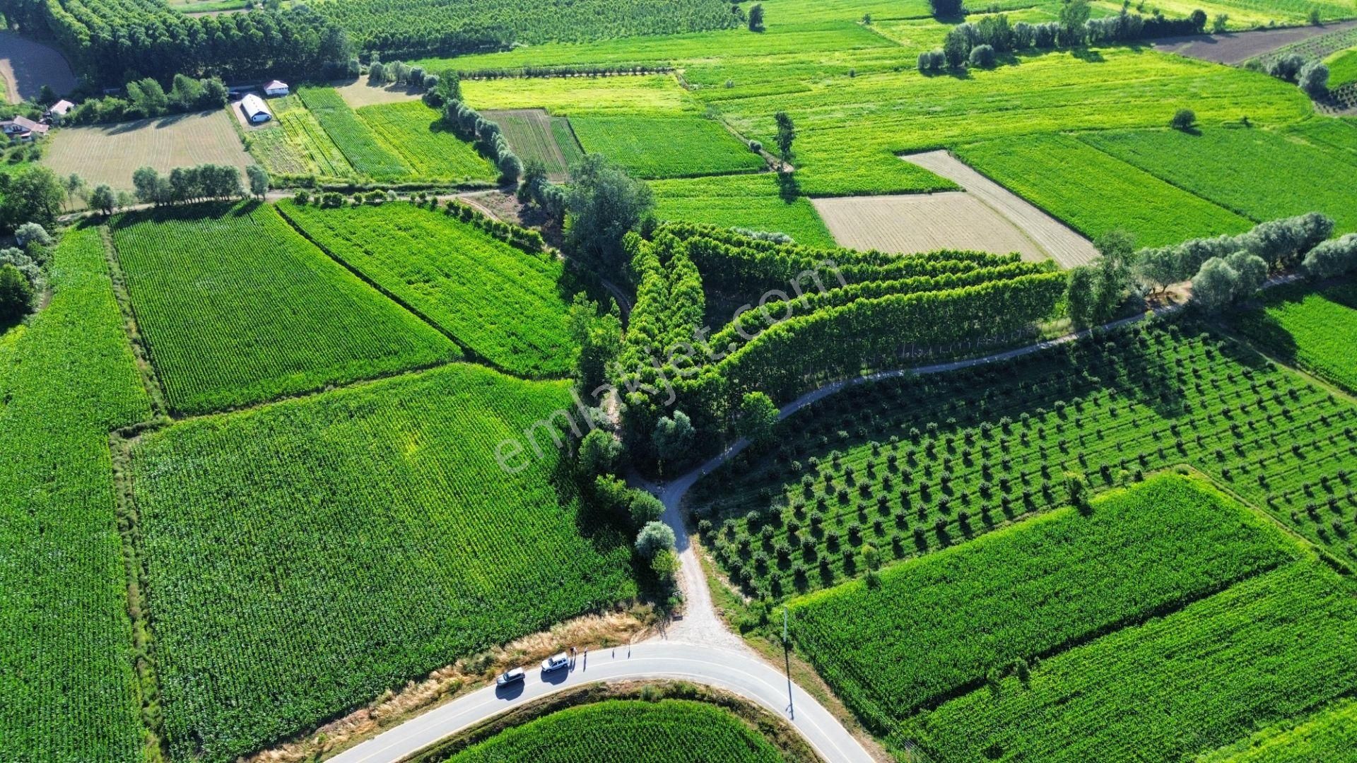 !!acil!! Kuzey Marmaraya 10 Dk Mesafede Satılık Tarla