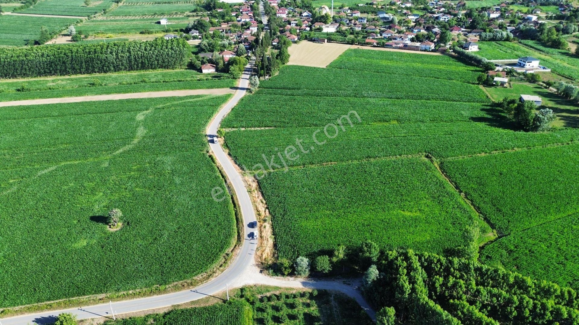 !!acil!! Kuzey Marmaraya 10 Dk Mesafede Satılık Tarla - Görsel 7