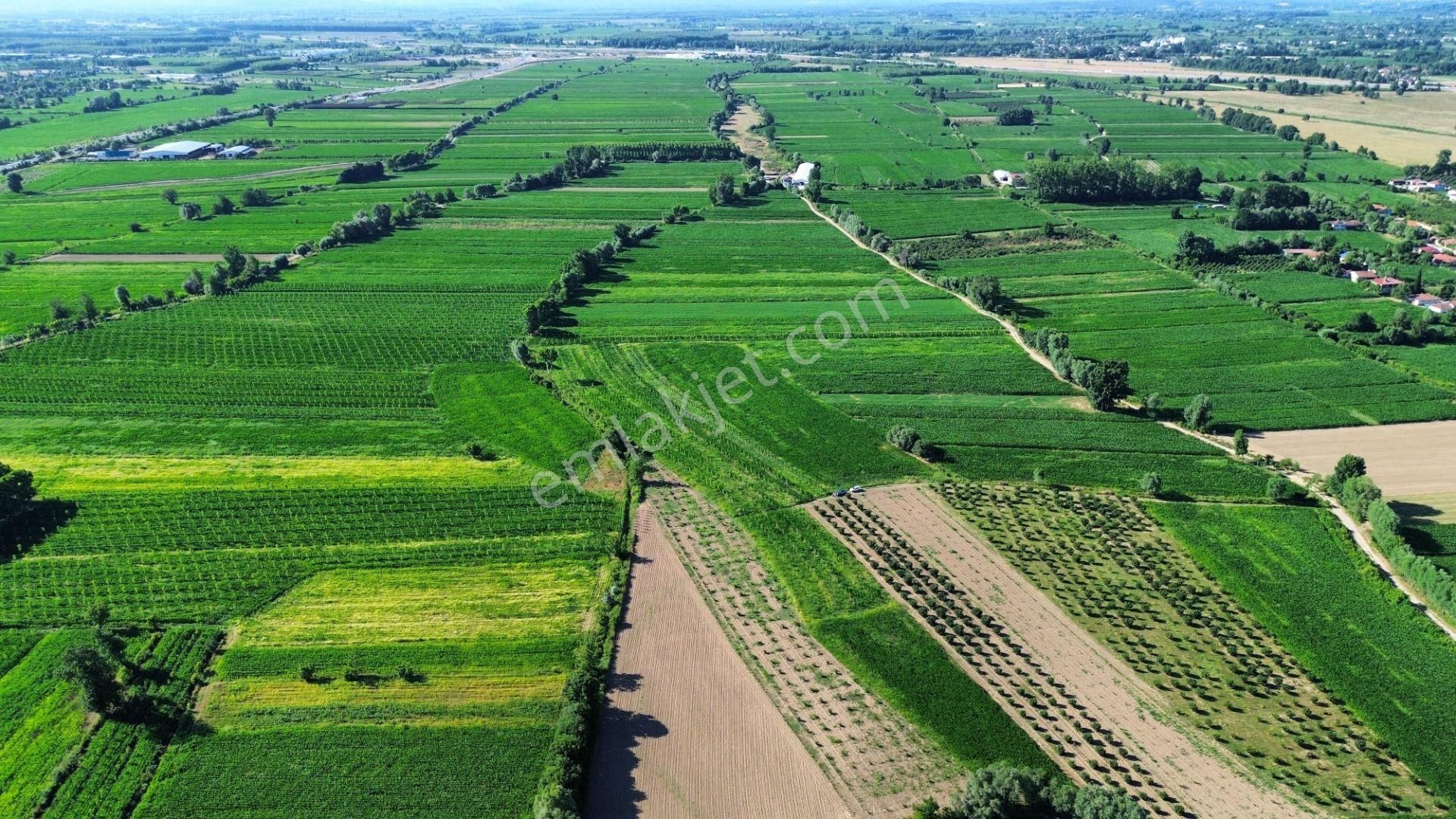 !!acil!! Kuzey Marmaraya 10 Dk Mesafede Satılık Tarla - Görsel 2