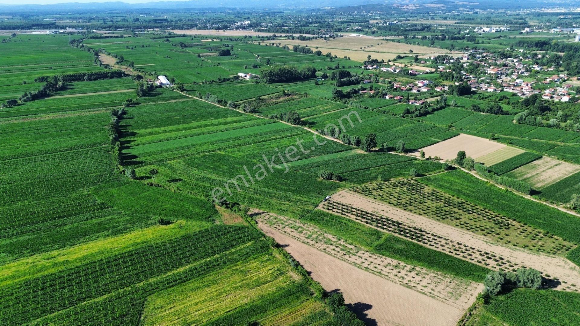 !!acil!! Kuzey Marmaraya 10 Dk Mesafede Satılık Tarla - Görsel 4