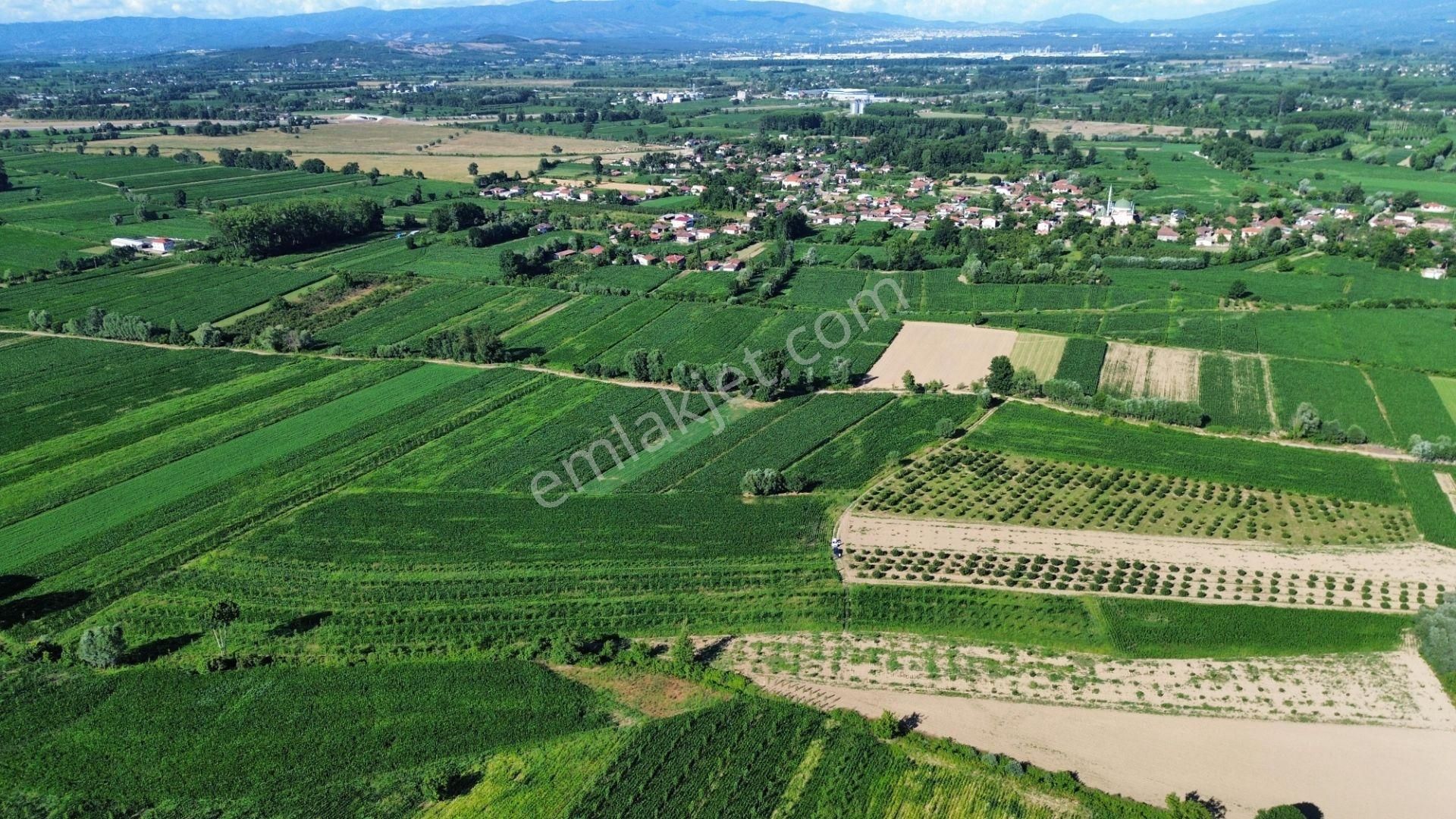 !!acil!! Kuzey Marmaraya 10 Dk Mesafede Satılık Tarla - Görsel 6