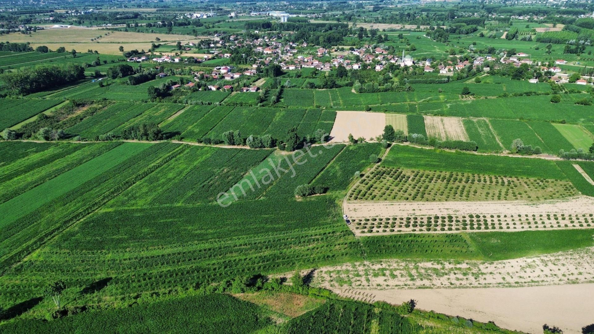!!acil!! Kuzey Marmaraya 10 Dk Mesafede Satılık Tarla - Görsel 5