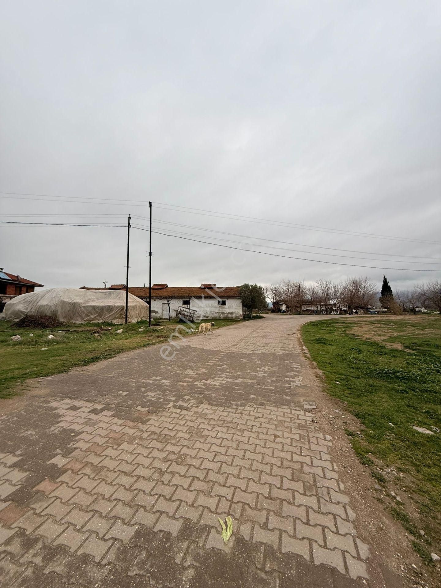 Manisa Alaşehir Alper Gayrimenkulden Akkeçili Mah. Toplam 1386m2 Müstakil Arsa - Görsel 2