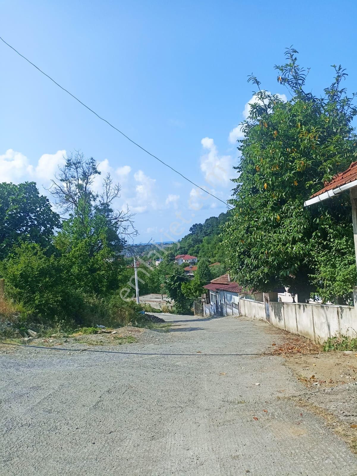 Kocaalideğerliarsa - Görsel 2