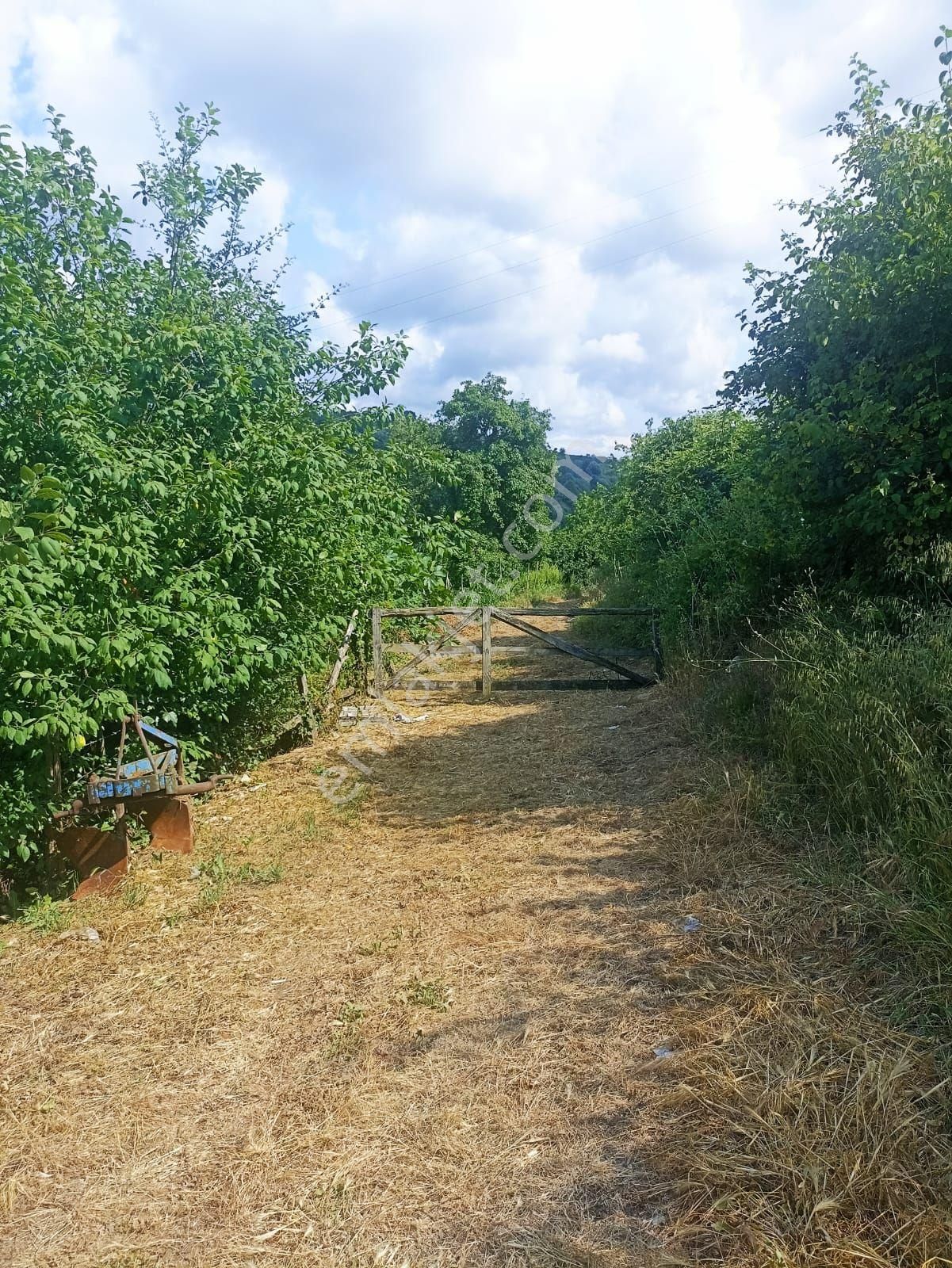 Kocaalideğerliarsa - Görsel 7