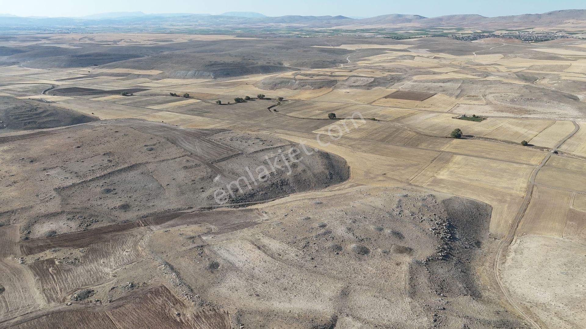 Konya / Meram / Kavak Mahallesinde 15.375 M² Müstakil Tapulu Tarla - Görsel 3