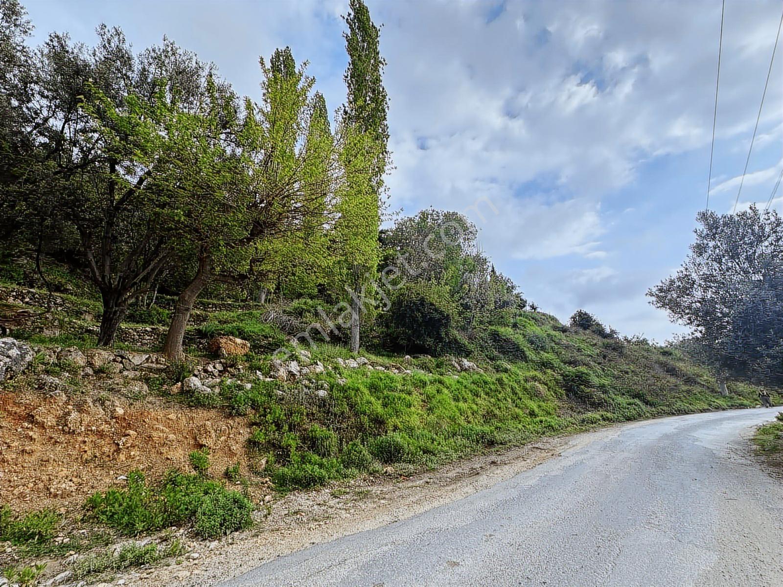 Daha Uygunu Yok Deniz Manzaralı Yola Parsel Villa Arsası - Görsel 9