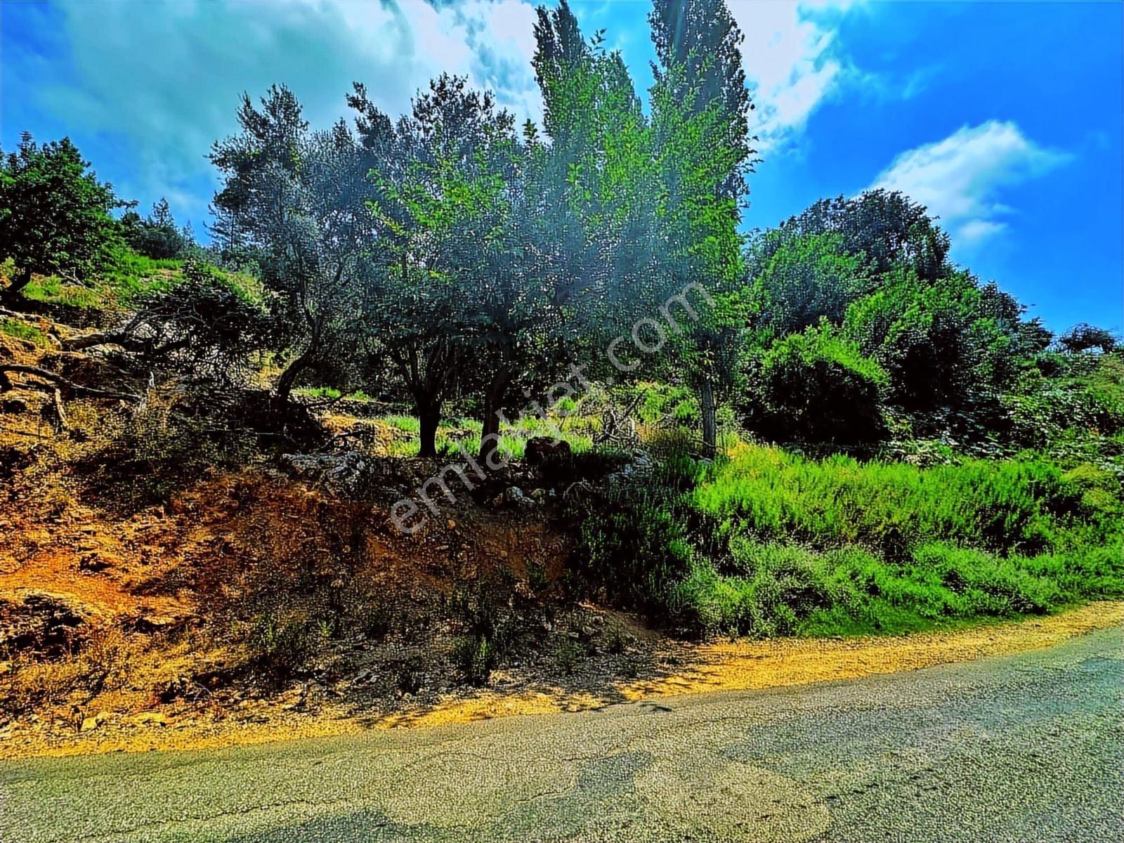 Daha Uygunu Yok Deniz Manzaralı Yola Parsel Villa Arsası - Görsel 17