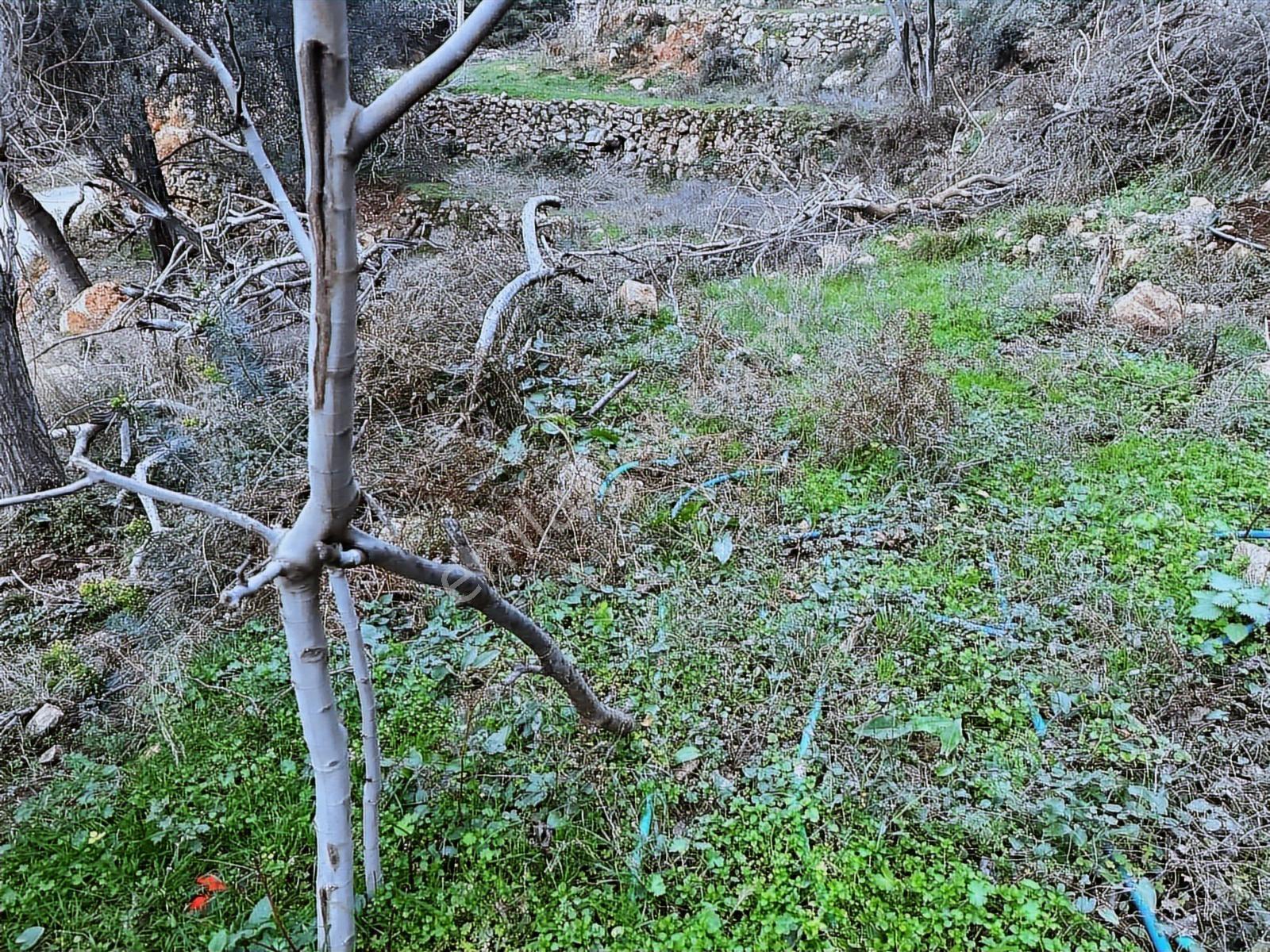 Daha Uygunu Yok Deniz Manzaralı Yola Parsel Villa Arsası - Görsel 16