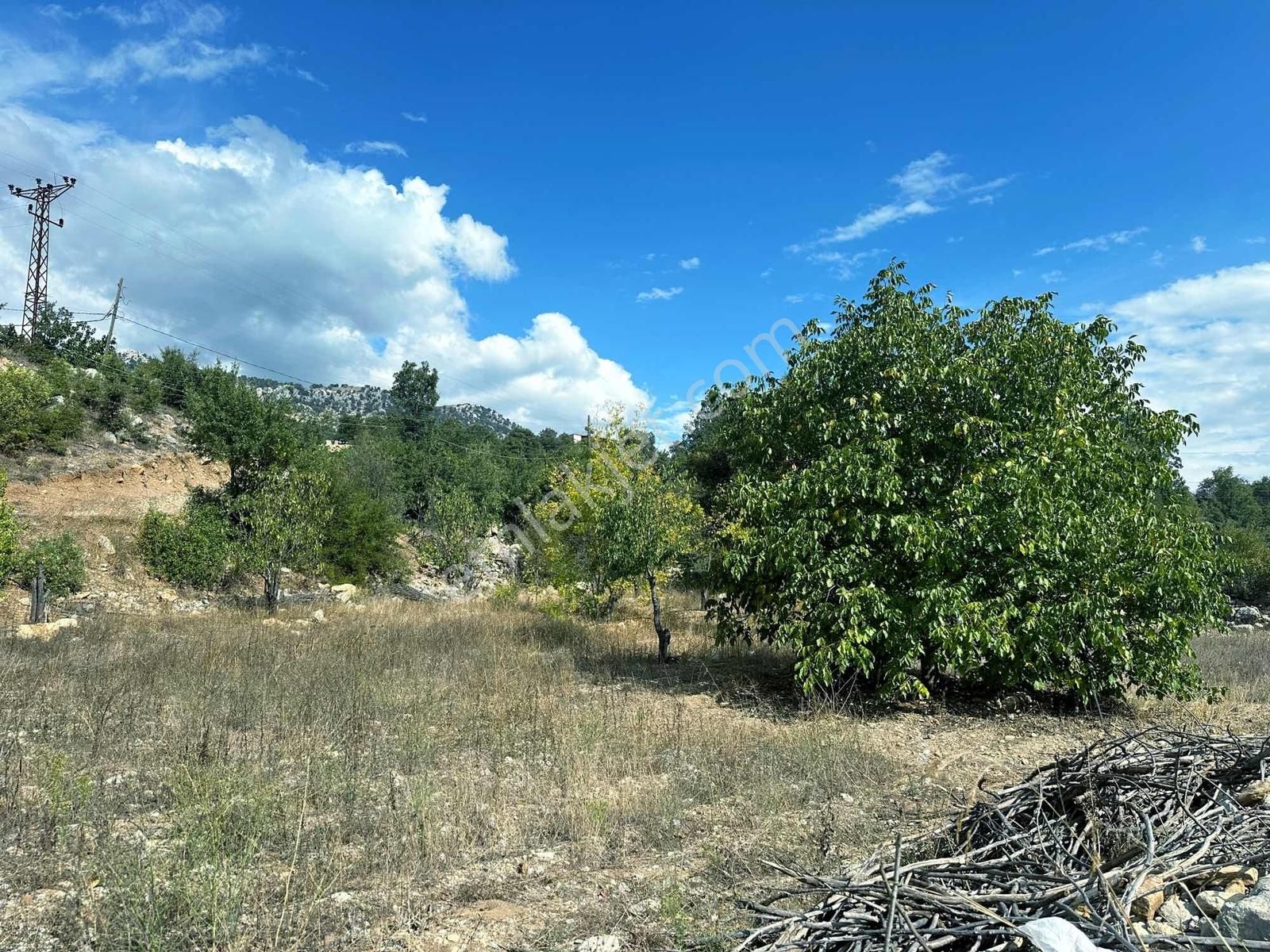 Satılık 2000 M2 Ormana Dayalı Çay Dere Kenarı Emsalsiz Tarla - Görsel 19