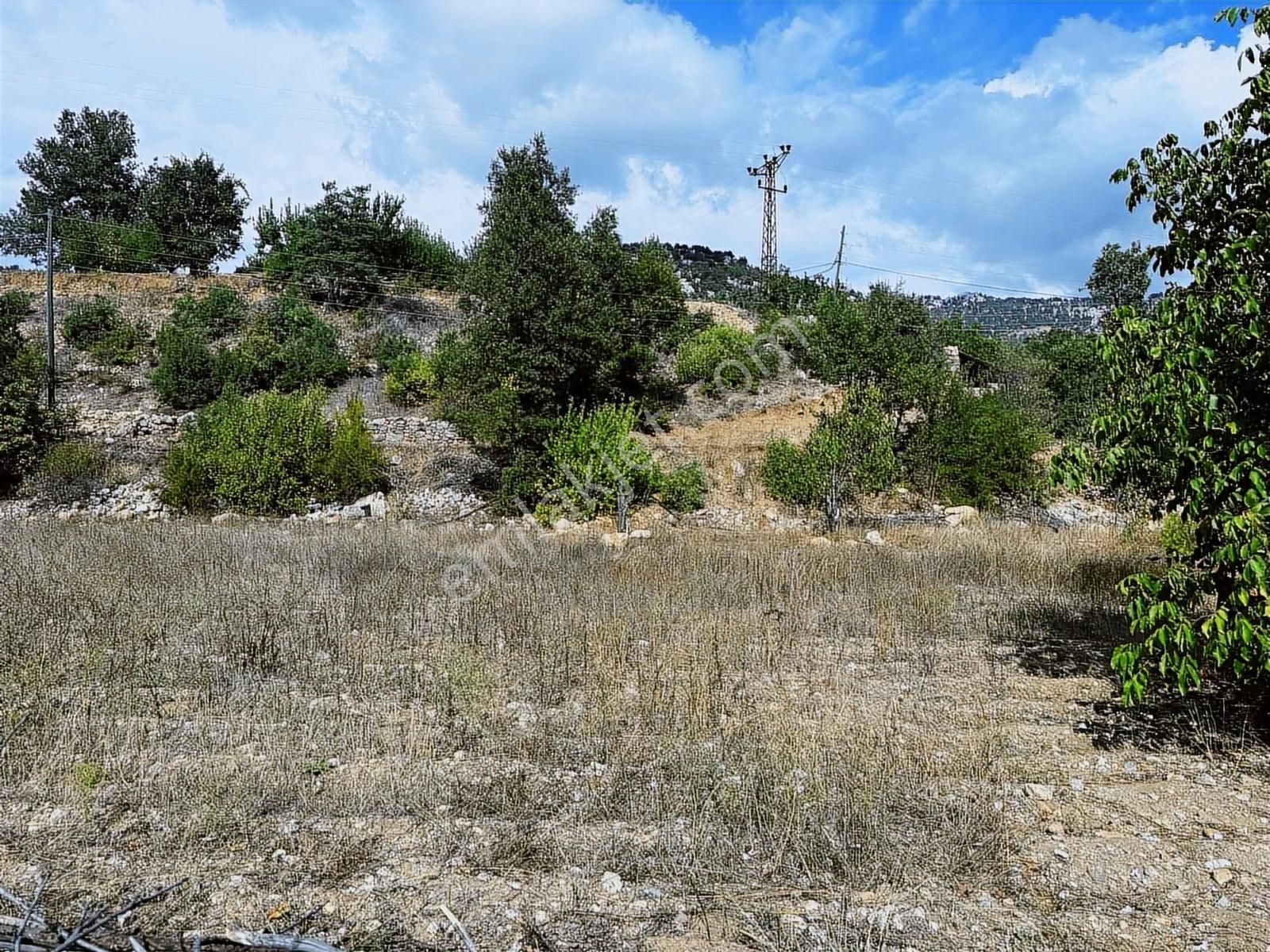 Satılık 2000 M2 Ormana Dayalı Çay Dere Kenarı Emsalsiz Tarla - Görsel 26