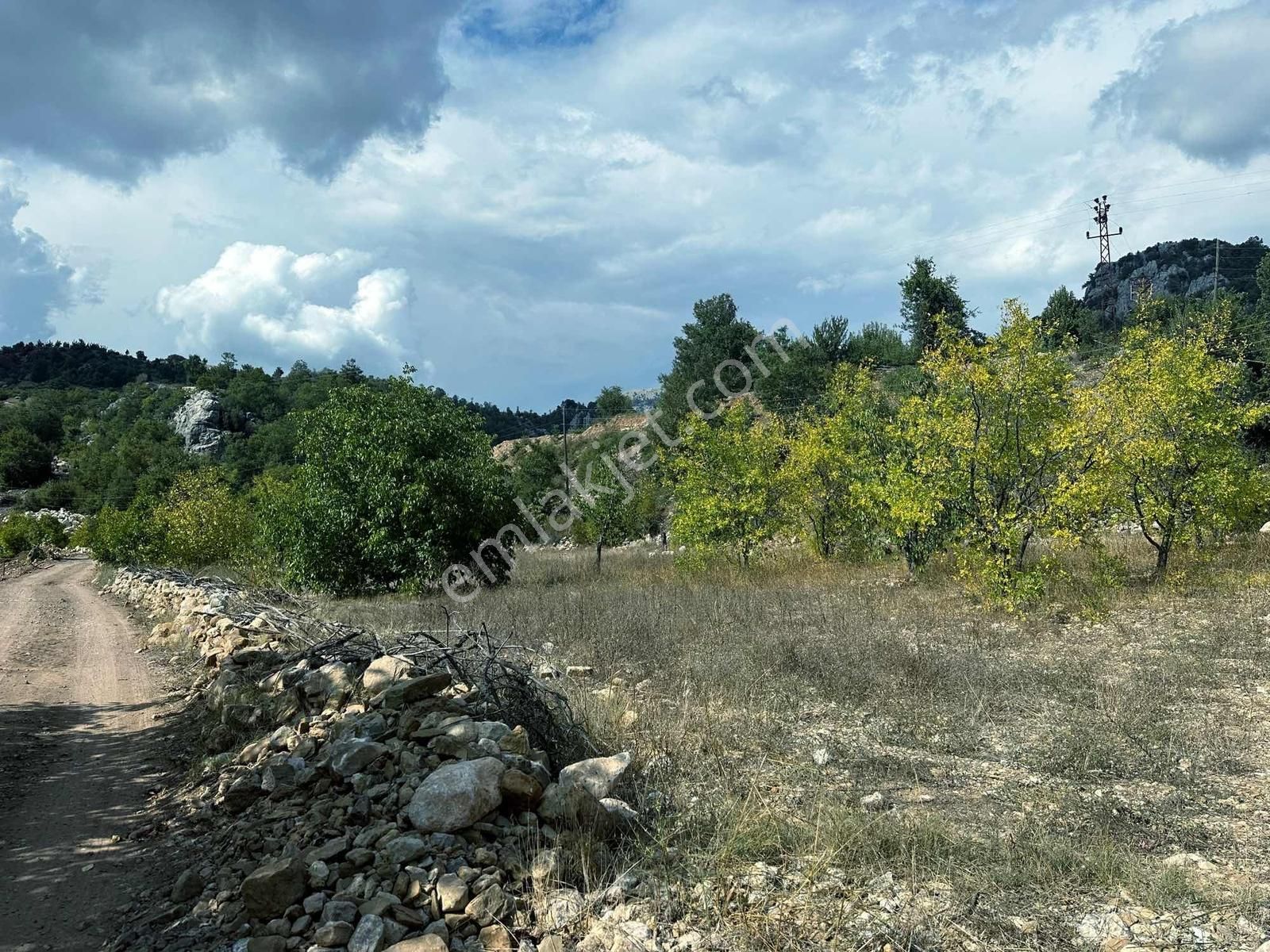 Satılık 2000 M2 Ormana Dayalı Çay Dere Kenarı Emsalsiz Tarla - Görsel 17
