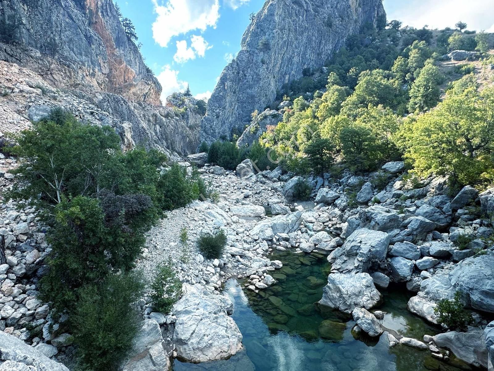 Satılık 2000 M2 Ormana Dayalı Çay Dere Kenarı Emsalsiz Tarla - Görsel 3