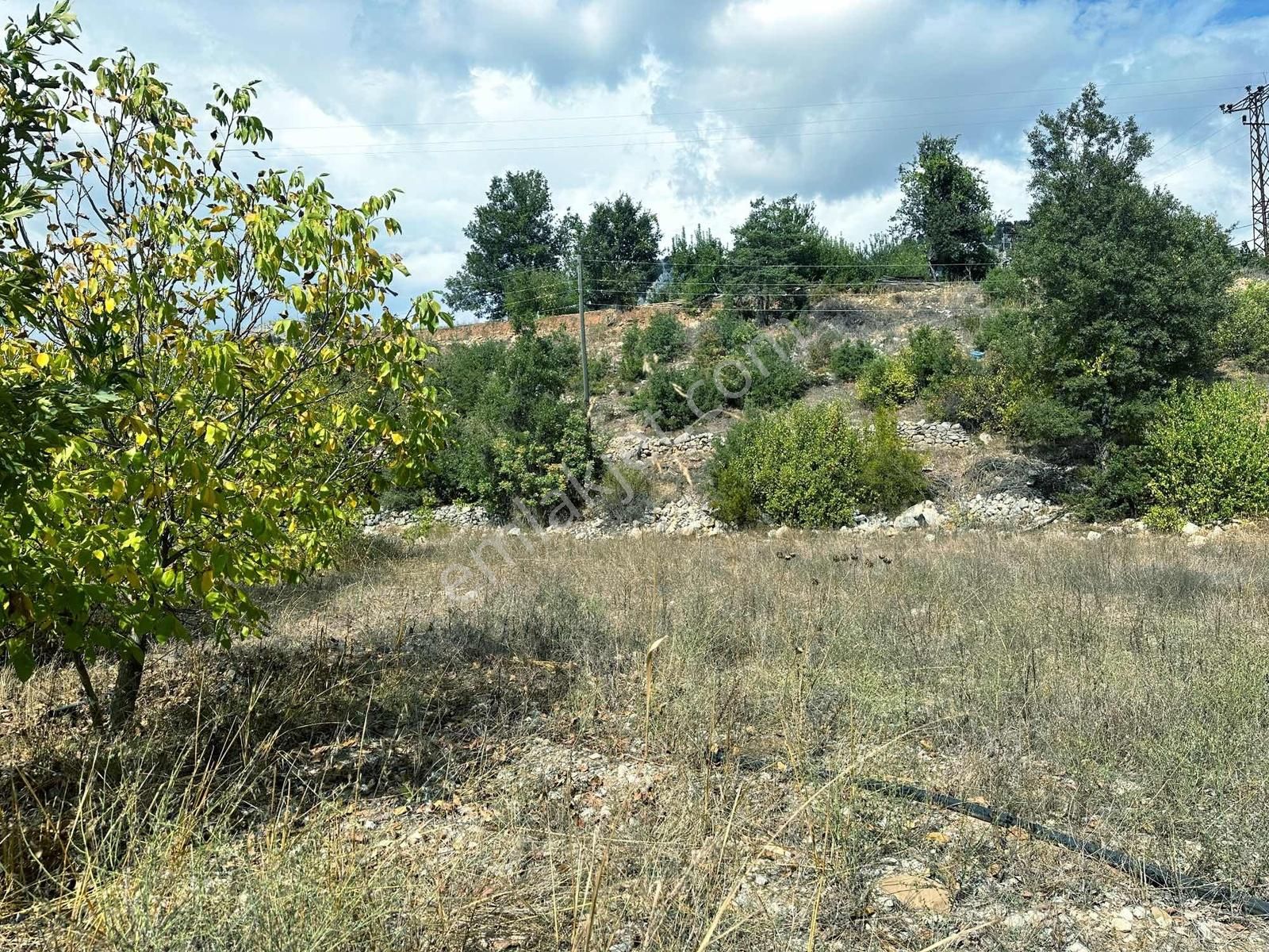 Satılık 2000 M2 Ormana Dayalı Çay Dere Kenarı Emsalsiz Tarla - Görsel 23