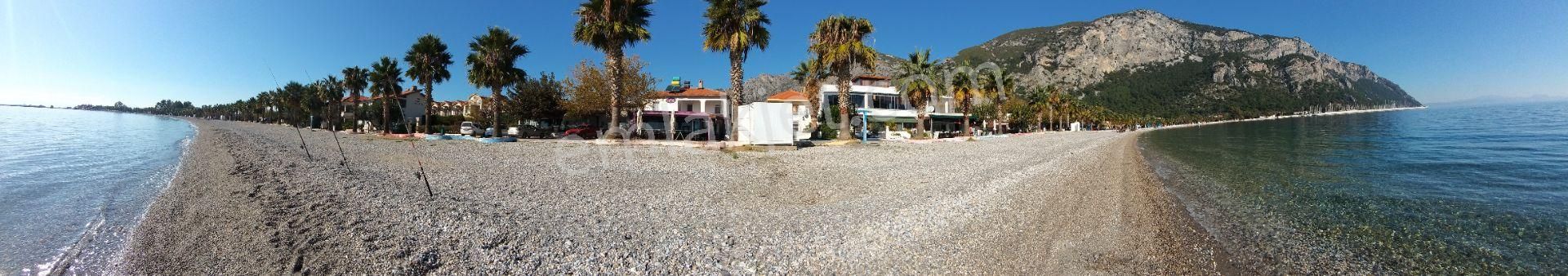 Milas Ören De Satılık Zeytinlik - Görsel 12