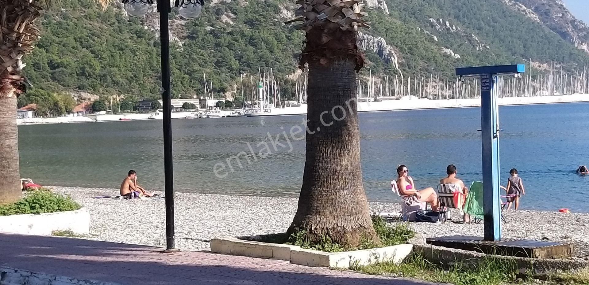 Milas Ören De Satılık Zeytinlik - Görsel 11