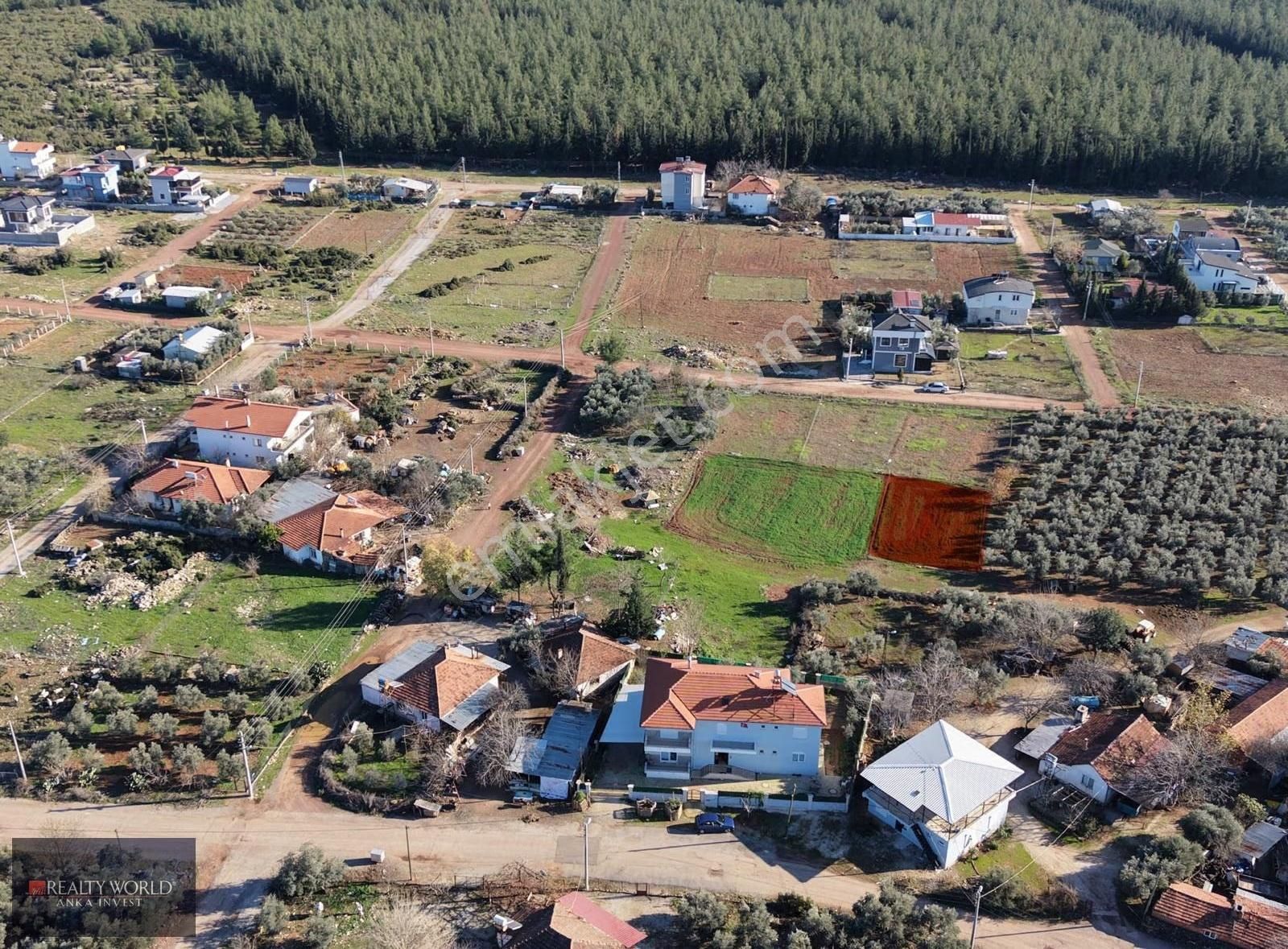 Döşemealtı Çıplaklı Villa Bölgesinde Ormana Yakın 383 M² Arsa - Görsel 3