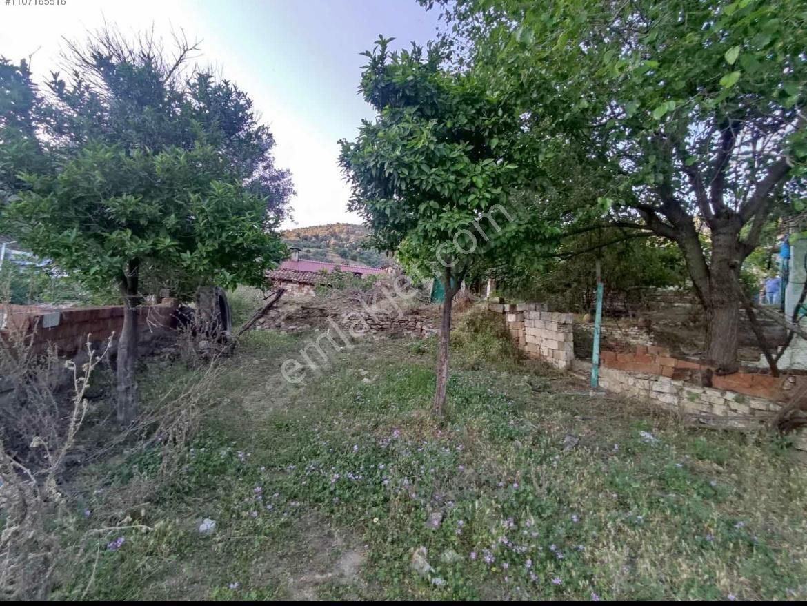 Aydın Dağkaraağaç Avlulu Bakıma Muhtaç Köy Evi - Görsel 10