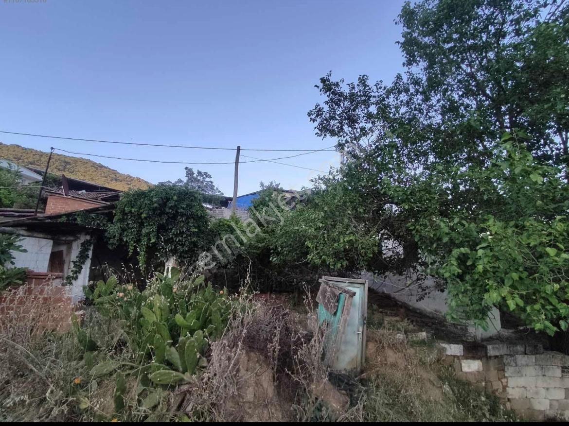 Aydın Dağkaraağaç Avlulu Bakıma Muhtaç Köy Evi - Görsel 11