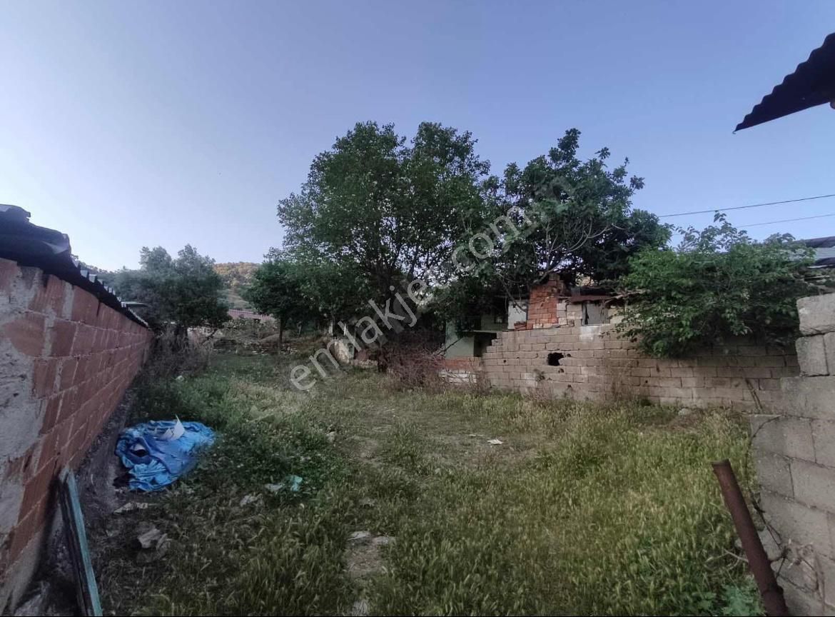 Aydın Dağkaraağaç Avlulu Bakıma Muhtaç Köy Evi - Görsel 8