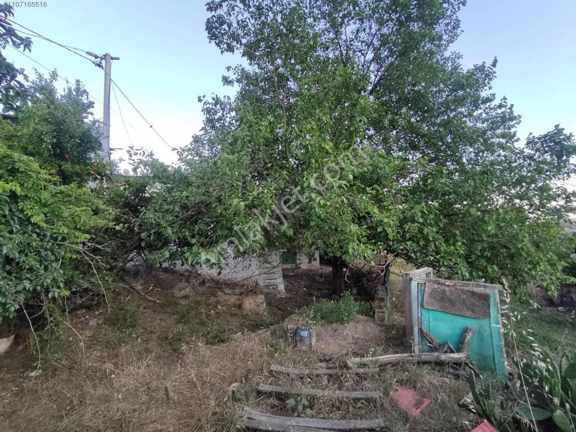 Aydın Dağkaraağaç Avlulu Bakıma Muhtaç Köy Evi - Görsel 3