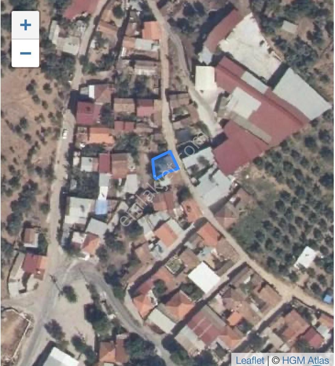 Aydın Dağkaraağaç Avlulu Bakıma Muhtaç Köy Evi - Görsel 2