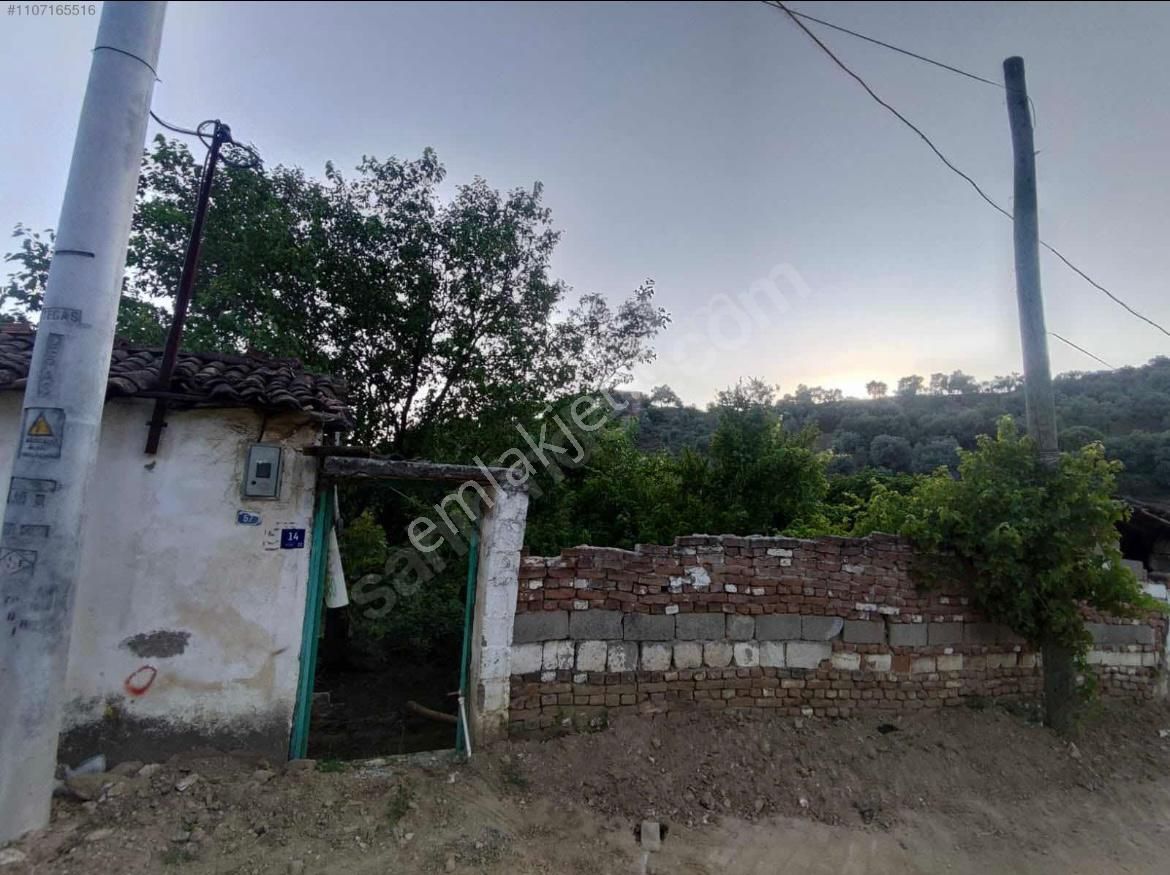 Aydın Dağkaraağaç Avlulu Bakıma Muhtaç Köy Evi - Görsel 7