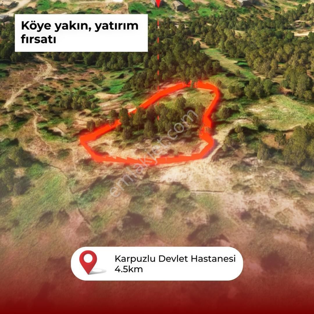 Şenköy’de Fırsat 2.897m2 Göle Ve Köye Yakın Konumda Satılık Zeytinlik - Görsel 17