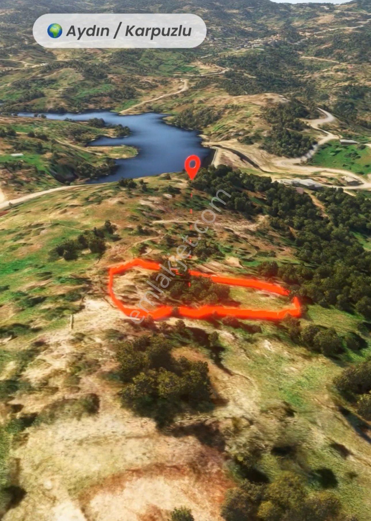 Şenköy’de Fırsat 2.897m2 Göle Ve Köye Yakın Konumda Satılık Zeytinlik - Görsel 19