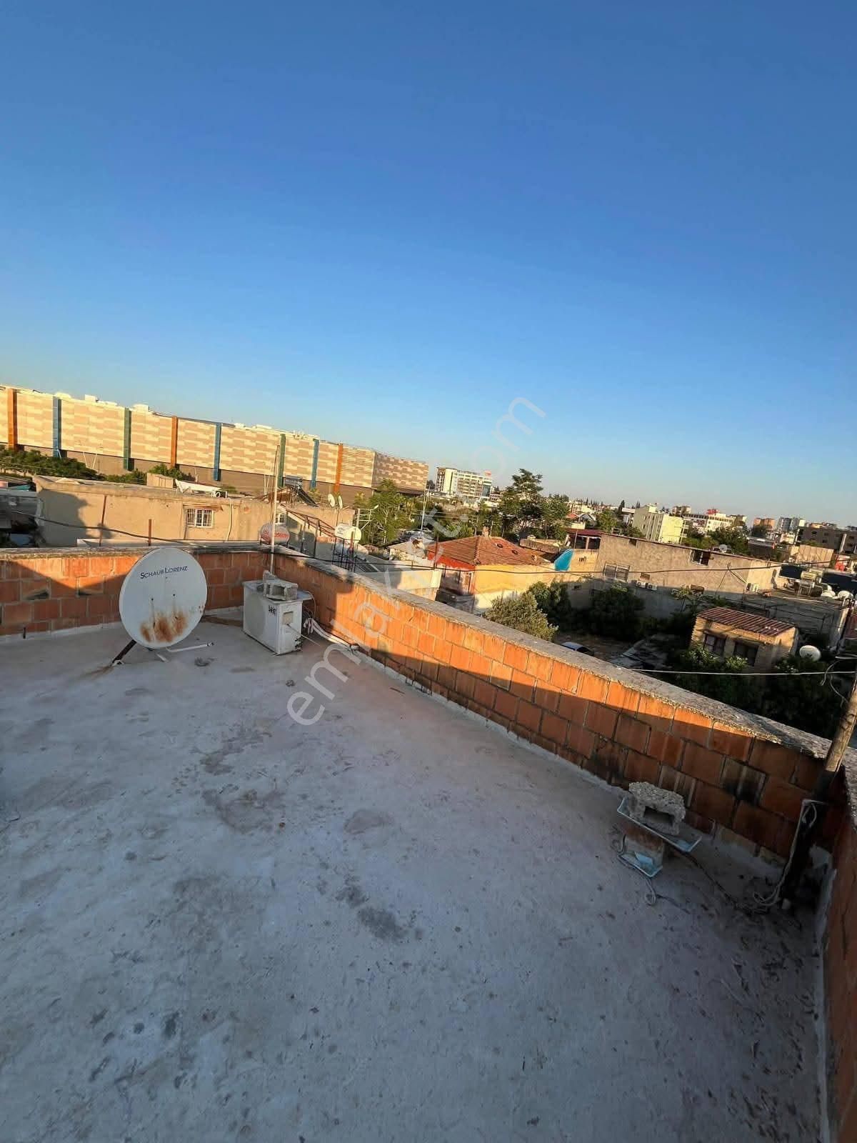 Kaçmaz Fırsat - Görsel 2