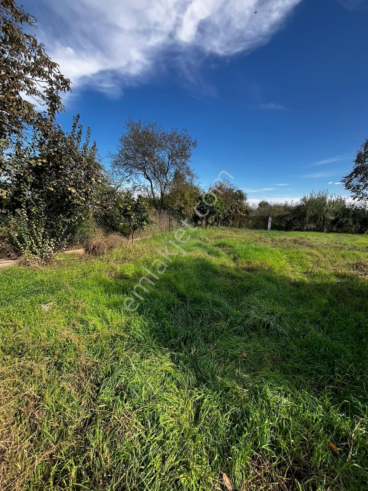 Aydın Efeler Serçeköyde Satılık Müstakil Bahçeli Ev - Görsel 30