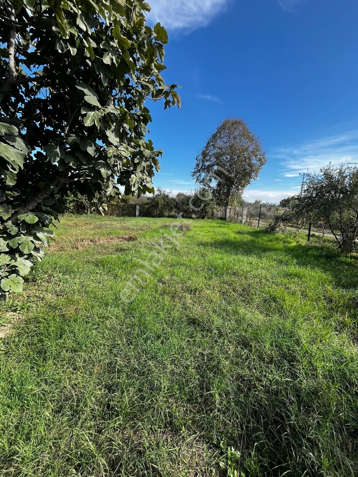 Aydın Efeler Serçeköyde Satılık Müstakil Bahçeli Ev - Görsel 29