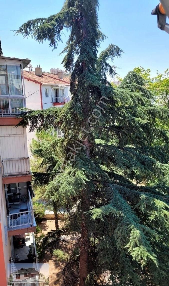 Genç Emlaktan Örnek Mahallesinin En Nezih Apartmanında 2+1 Kiralık - Görsel 19