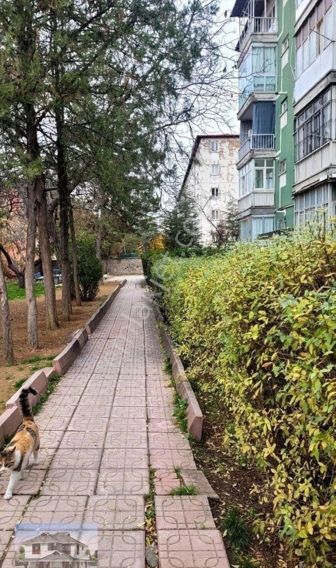 Genç Emlaktan Örnek Mahallesinde Kentsel Dönüşüme Uygun Yatırımlık 2+1 Satılık Daire - Görsel 12