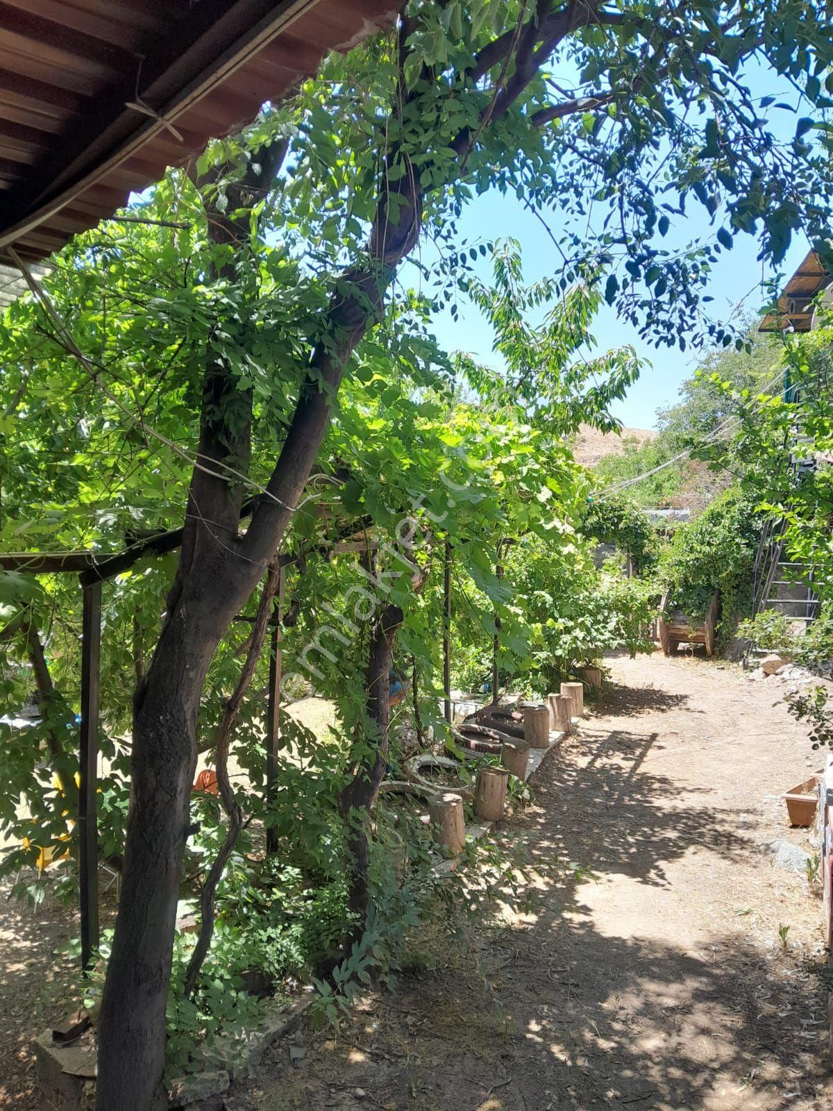Konya Meram Çayrbağı Mah. 434 İçinde Evi Lettirği Suyu Olan Satılık Süpr Bahçe - Görsel 15