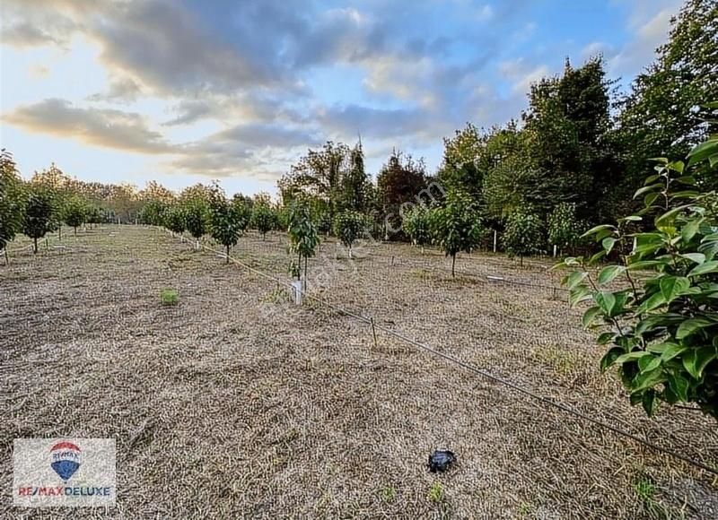 Sapanca Yanık'ta Satılık 3 Dönüm Bungalov Yapımına Uygun Arazi - Görsel 10