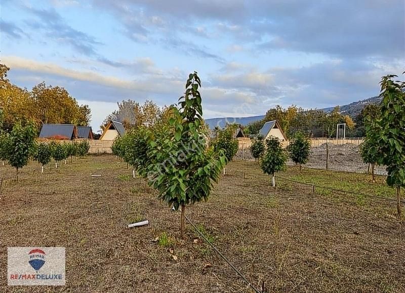 Sapanca Yanık'ta Satılık 3 Dönüm Bungalov Yapımına Uygun Arazi - Görsel 2
