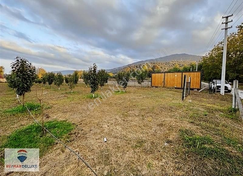Sapanca Yanık'ta Satılık 3 Dönüm Bungalov Yapımına Uygun Arazi - Görsel 8