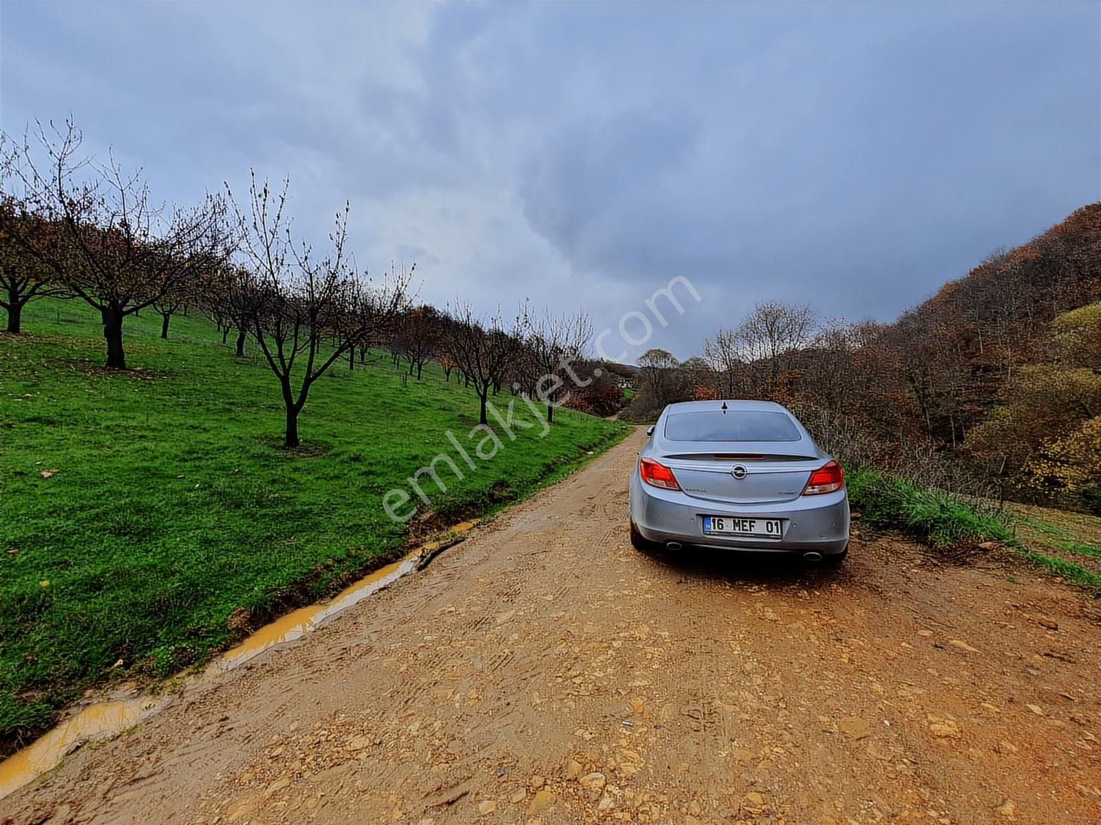 Mef Gyd'den İznik'te Güneş Enerji Santral'ine Uygun 32.999 M² - Görsel 8