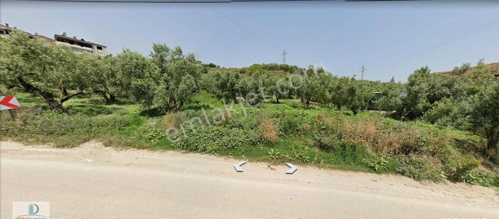 Mudanya Yörükali Köyü Bitişiği 2.700 M2 Asfalta Cephe Kısmen İmarlı Satılık Arazi. - Görsel 8